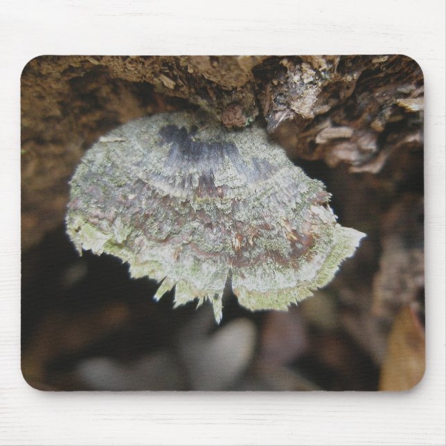 Rainbow Shelf Fungus Mousepad (Vorne)
