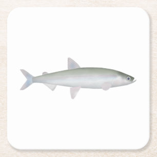 Rainbow Smelt Rechteckiger Pappuntersetzer