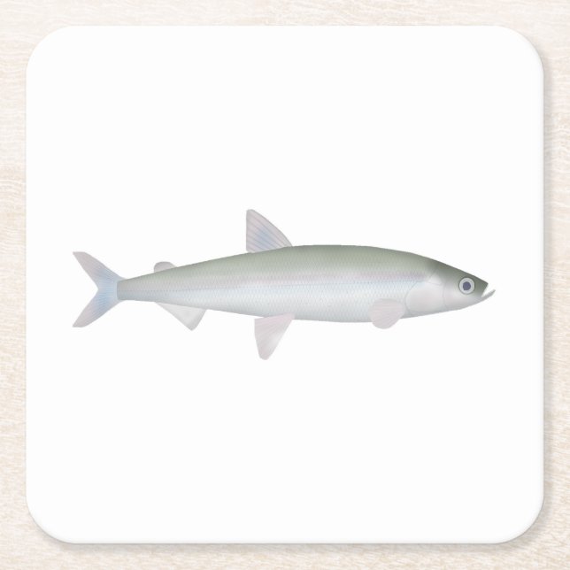 Rainbow Smelt Rechteckiger Pappuntersetzer (Vorderseite)