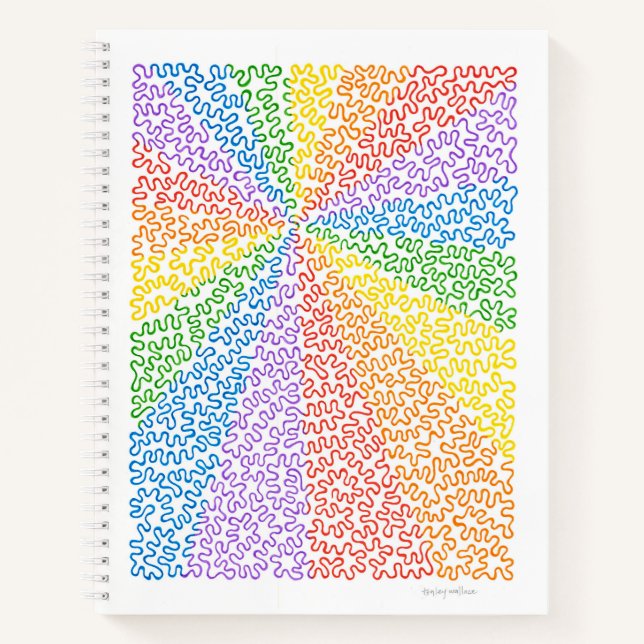 Rainbow Squiggles-Notebook Notizbuch (Vorderseite)