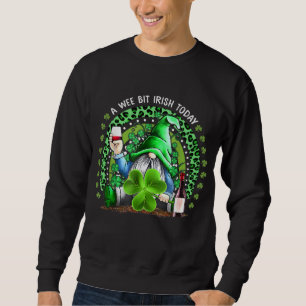 Rainbow St Patrick's Day Irish Gnome Drink Wine Sh Sweatshirt