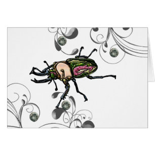 Rainbow Stag Beetle