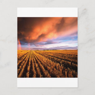 Rainbow Stubble Field Saskatchewan Kanada Postkarte