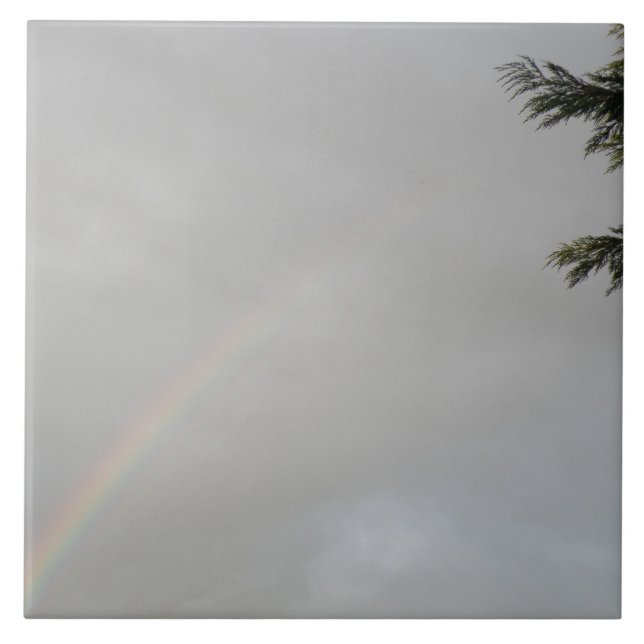 Rainbow Tile Fliese (Vorderseite)