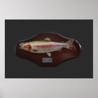 Rainbow Trout Display Plaque