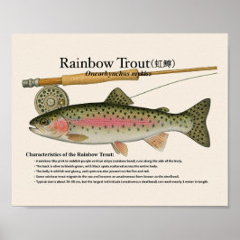 Rainbow Trout – English Art Print Poster