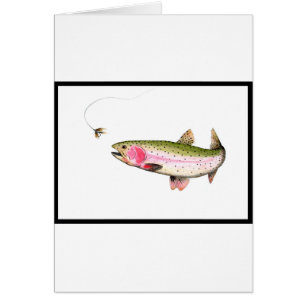 Rainbow Trout Fly