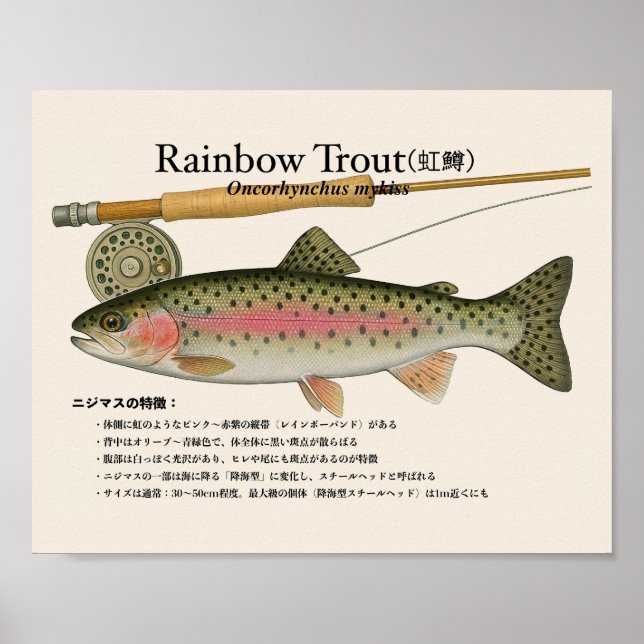 Rainbow Trout – japanese Art Print Poster (Vorne)