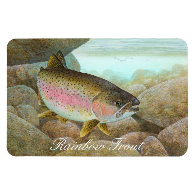 Rainbow Trout Painting Magnet (Horizontal)