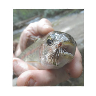 Rainbow Trout photo Notizblock