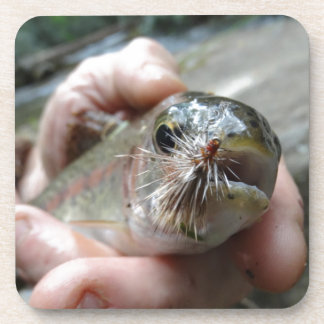 Rainbow Trout photo Untersetzer