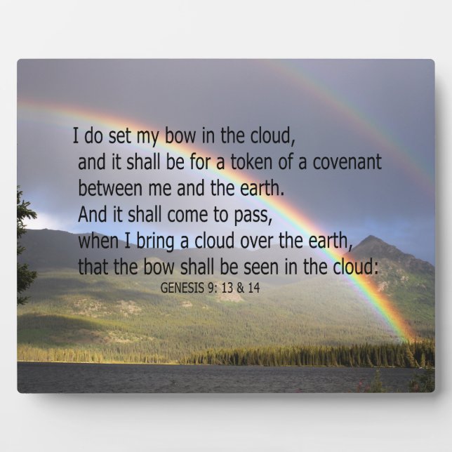 RAINBOW VERSES FOTOPLATTE (Vorderseite)