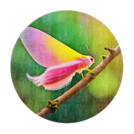 Rainbow Wing Beauty Schneidebrett