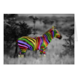 Rainbow Zebra