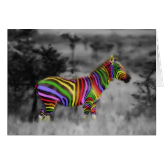 Rainbow Zebra (Vorderseite (Horizontal))