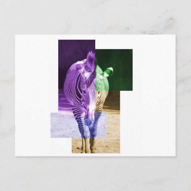 Rainbow Zebra Postkarte (Vorderseite)