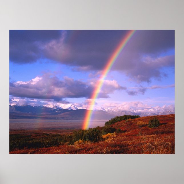 Rainbow's Beauty Poster (Vorne)