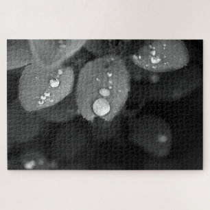 Raindrop auf der linken Seite