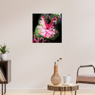 Raindrop auf Kaladium-Plakat / Wand-Kunst Poster