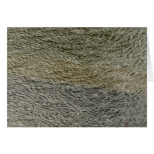 Raindrop Ripples Abstrakte Naturfotografie