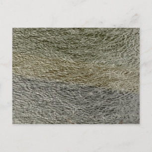 Raindrop Ripples Abstrakte Naturfotografie Postkarte