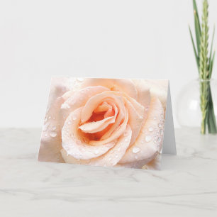 Raindrop rose greeting card karte