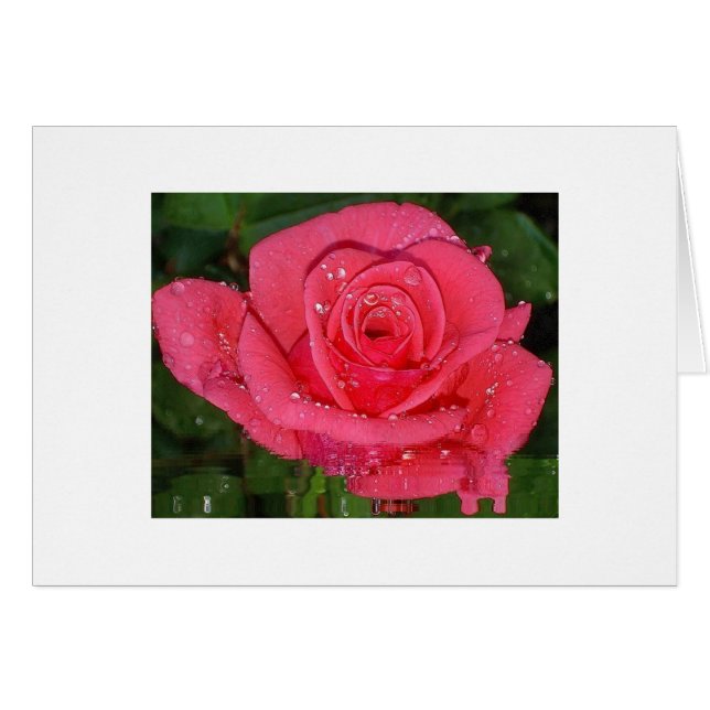 Raindrops (Vorderseite (Horizontal))