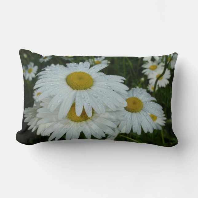 Raindrops auf Daisies Wildblume Floral Lendenkissen (Vorderseite)