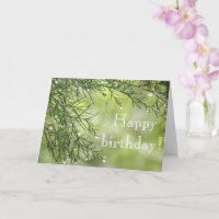 Raindrops auf der Pine Birthday Card