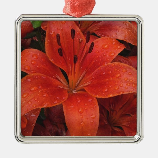 Raindrops auf einer Lily Silbernes Ornament (Vorne)
