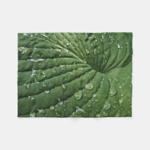 Raindrops auf Hosta Leaf Fleece Blanket