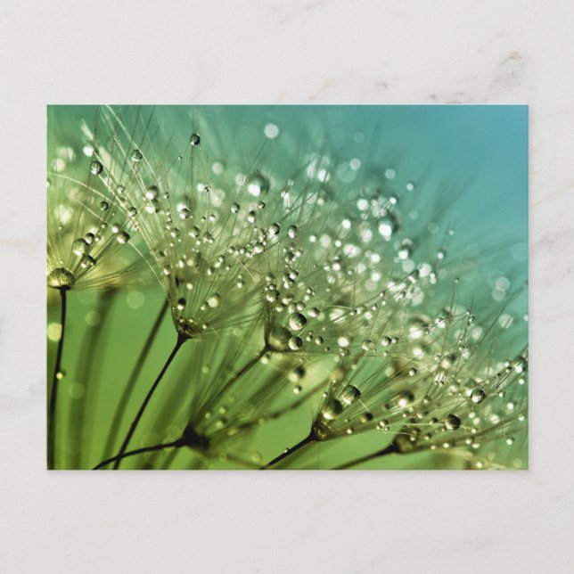 Raindrops auf Leuchten Postkarte (Vorderseite)