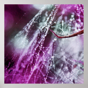 Raindrops auf Lila Cobweb Macro Abstrakt Poster