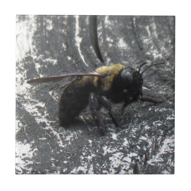 Raindrops Fliese (Vorderseite)