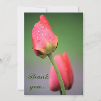 Raindrops Pink Tulips Merci cartes