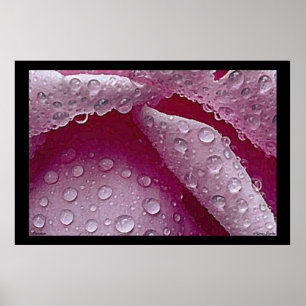 Raindrops Poster