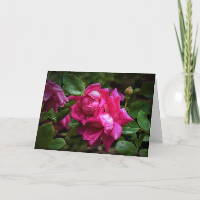Raindrops & Red Roses, carte (Devant)