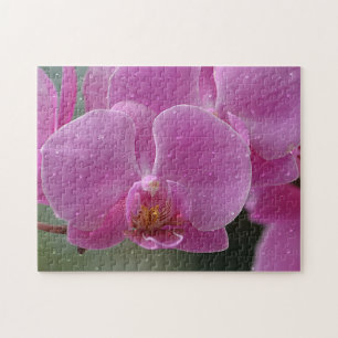 Raindrops Sur Le Puzzle Orchidée