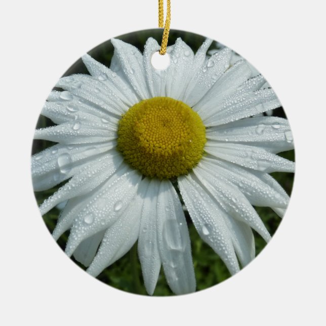 Raindrops zur Daisy-II-Wildblume Keramikornament (Vorne)