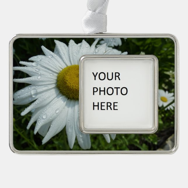 Raindrops zur Daisy-II-Wildblume Rahmen-Ornament Silber (Vorderseite)