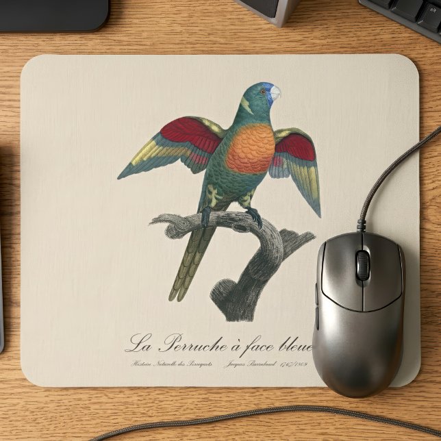 Rainerlorikit, Trichoglossus haematodus Mousepad (Coconut Lorikeet, Trichoglossus haematodus. Mouse Pad)