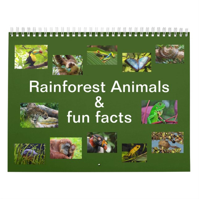 Rainforest Animals & Fun Facts Calendrier 12 mois (Protection)