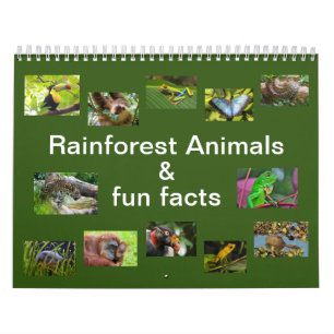 Rainforest Animals & Fun Facts Calendrier 12 mois