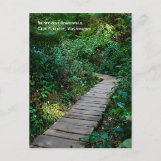 Rainforest Boardwalk Postkarte