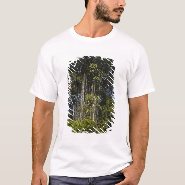 Rainforest Guyana T-Shirt (Vorderseite)