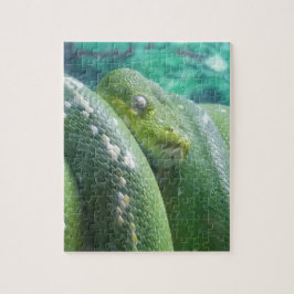 Rainforest Schlangenpuzzle