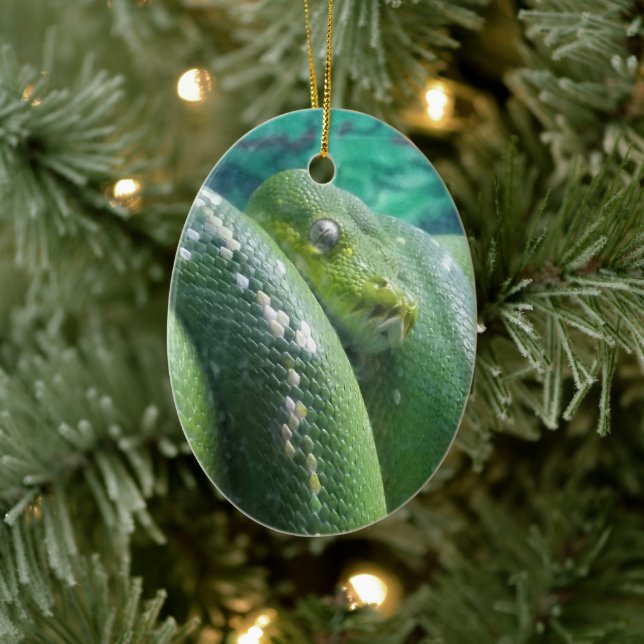 Rainforest Snake Ornament (Baum)