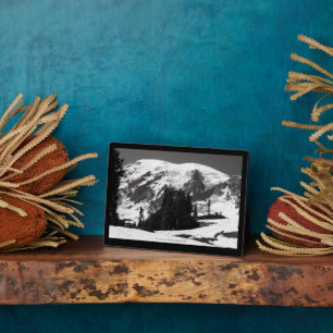 Rainier im Juni Fotoplatte