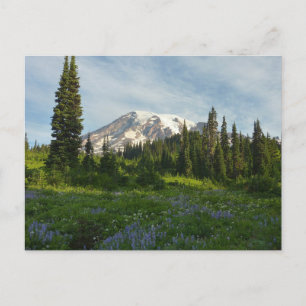 Rainier Morning Light Postkarte