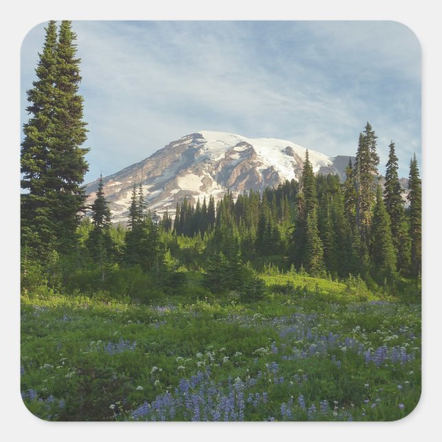 Rainier Morning Light Quadratischer Aufkleber (Vorderseite)